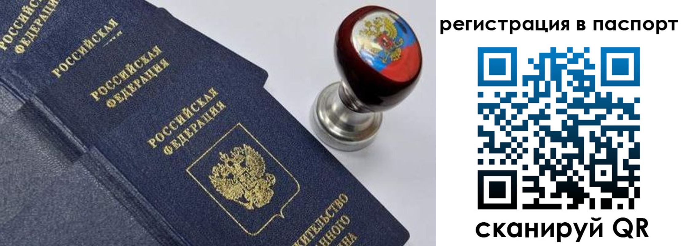 прописка поиск в Венёве